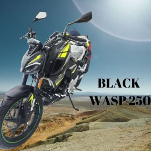 MOTOS DE COMBUSTION